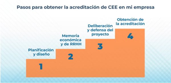 consultoría para la creación de un CEE