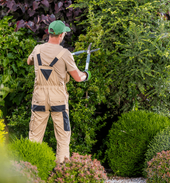 Leialta consultoría empresarial