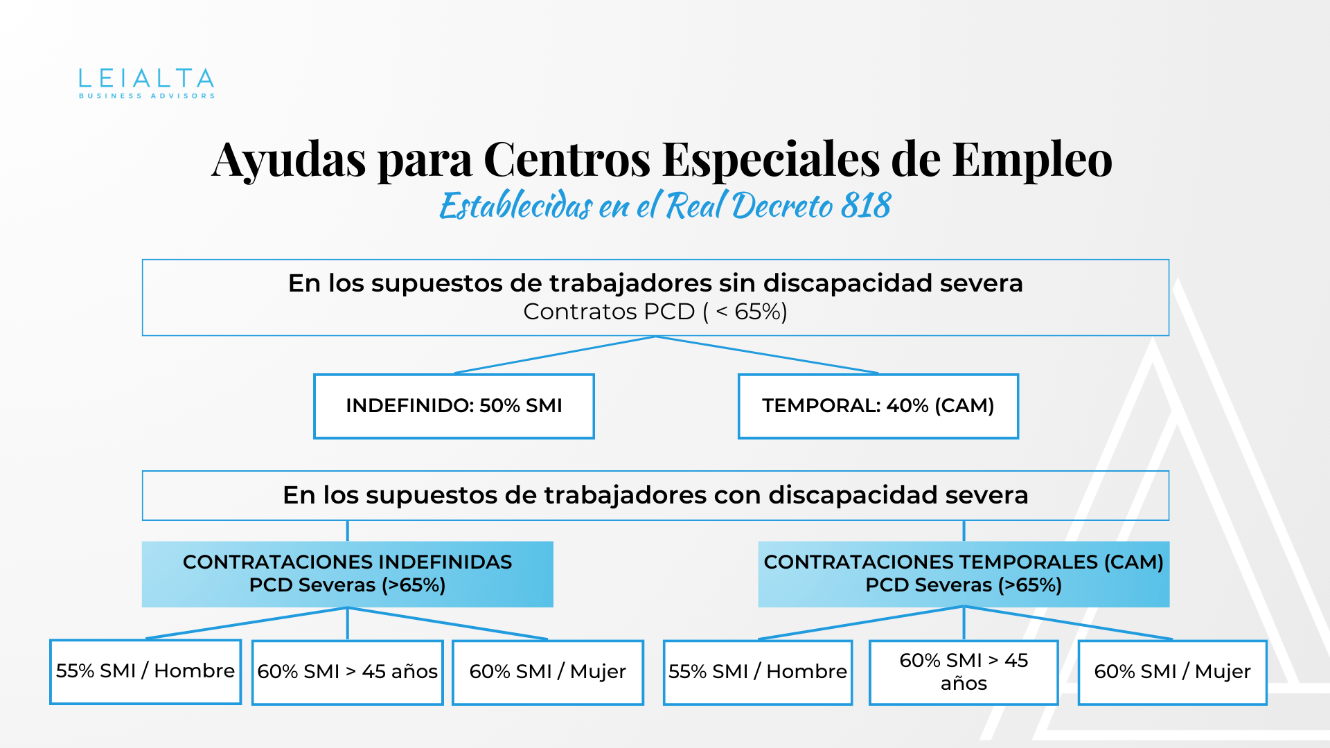 Ayudas a centros especiales de empleo 2024